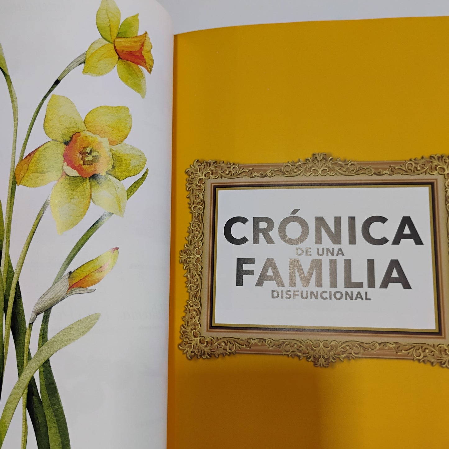 LA CASA DE LAS FLORES (Fanbook de la serie de NETFLIX)