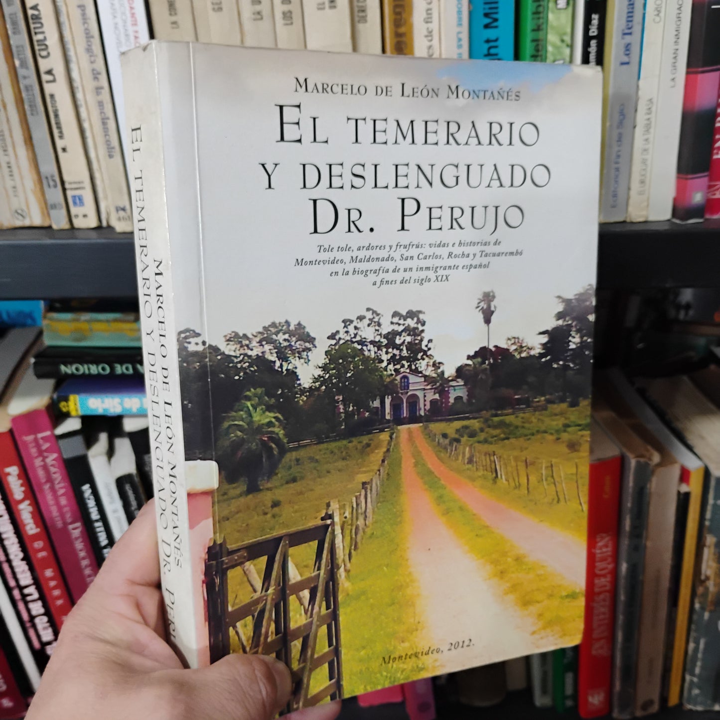 El temerario y deslenguado Dr. Perujo: Tole tole, ardores y frufrús: vidas e historias de Montevideo, Maldonado, San Carlos, Rocha, Tacuarembó en la biografía de un inmigrante español a fines del siglo XIX - Marcelo de León Montañés