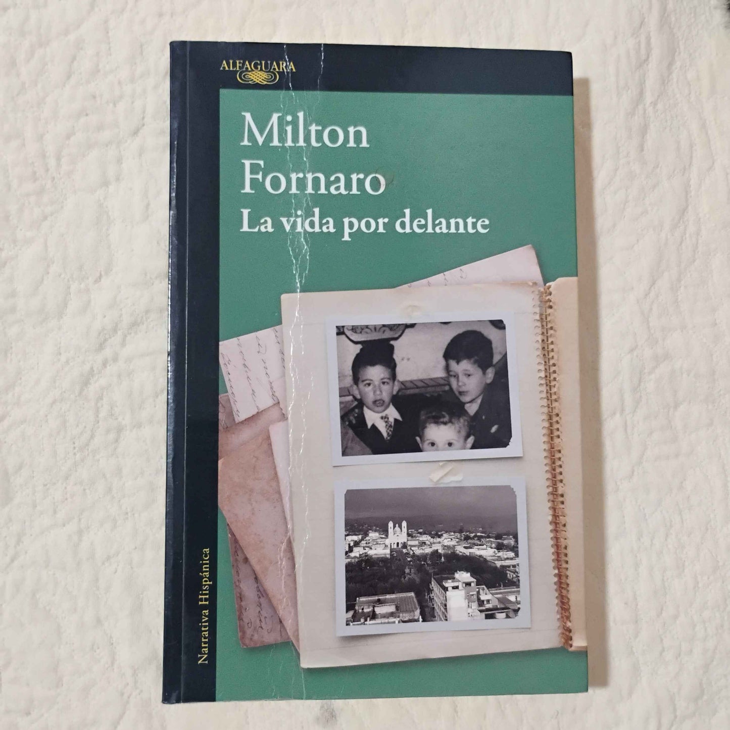 La vida por delante - Milton Fornaro