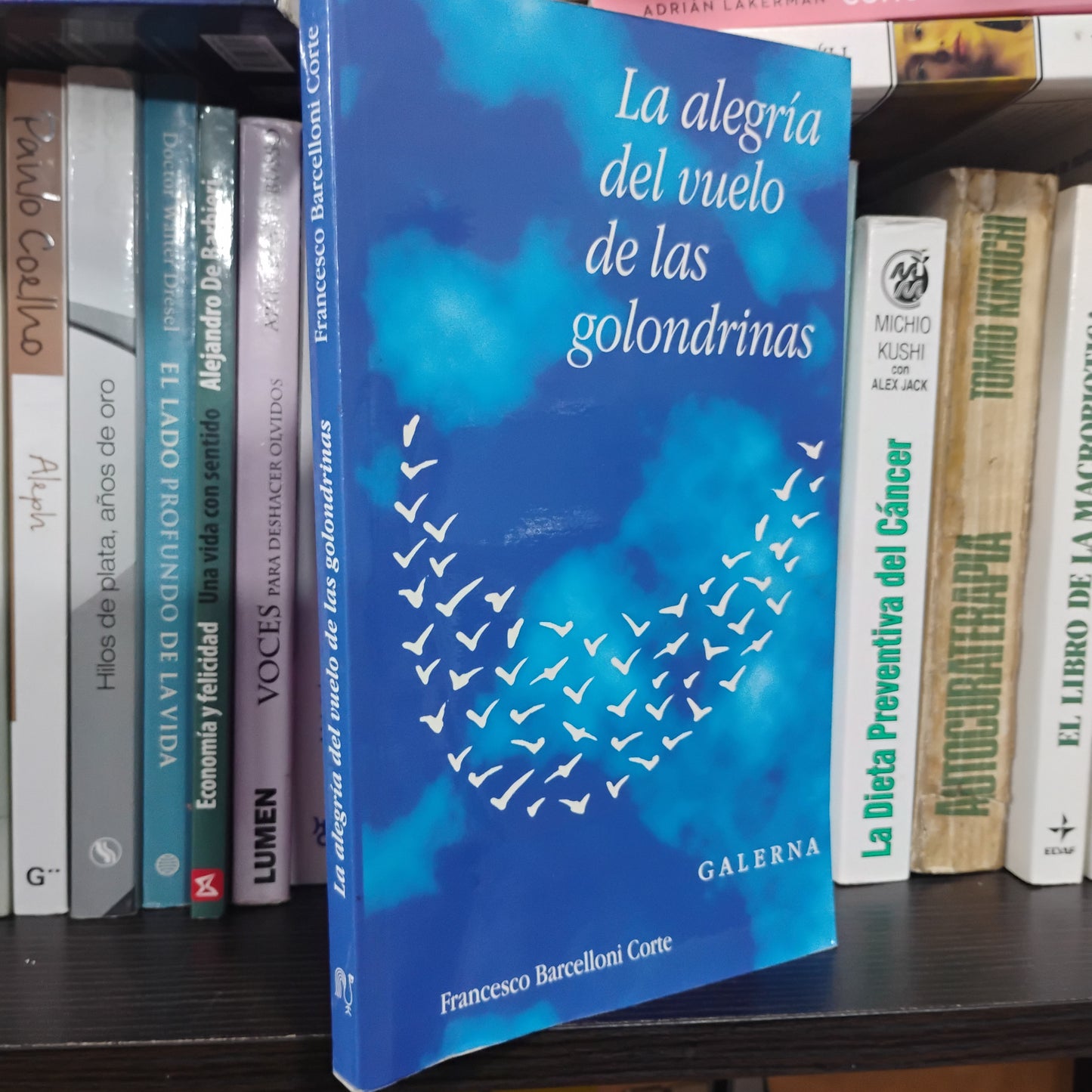 La alegría del vuelo de las golondrinas - Francesco Barcelloni Corte
