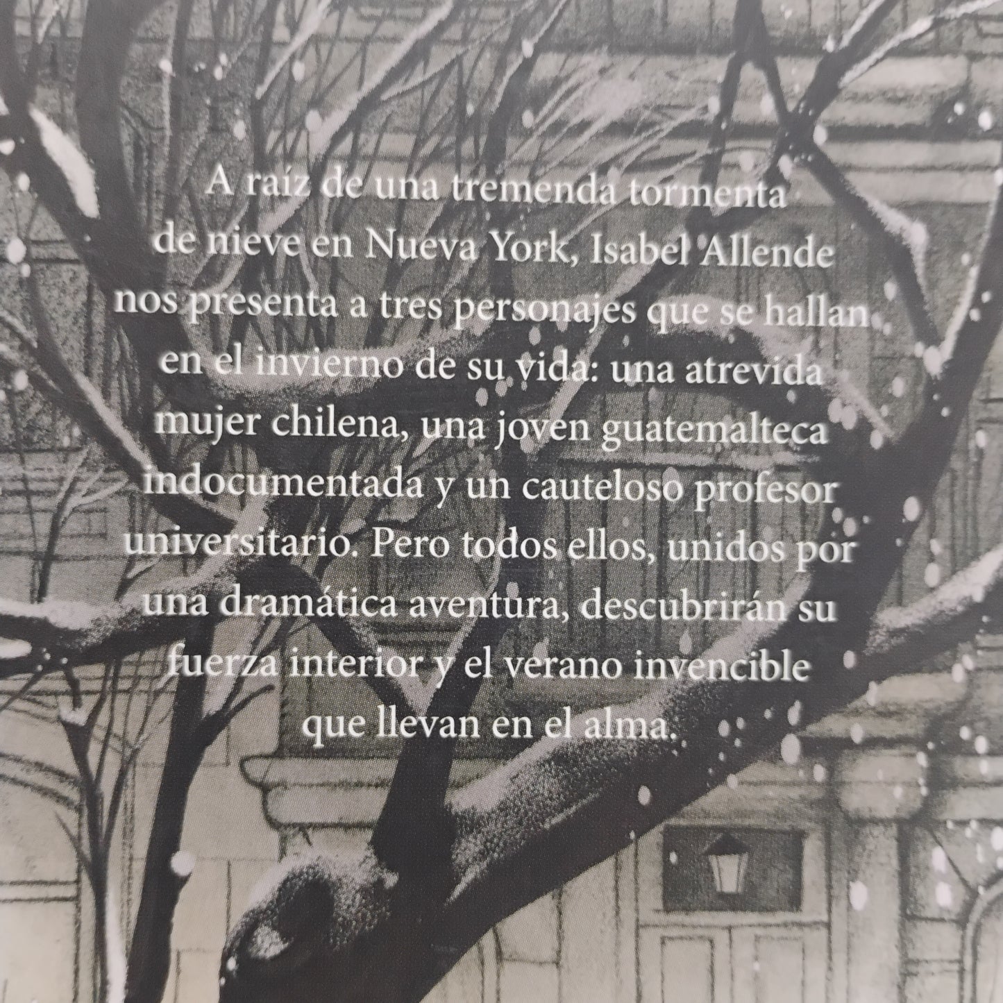 Más allá del invierno - Isabel Allende