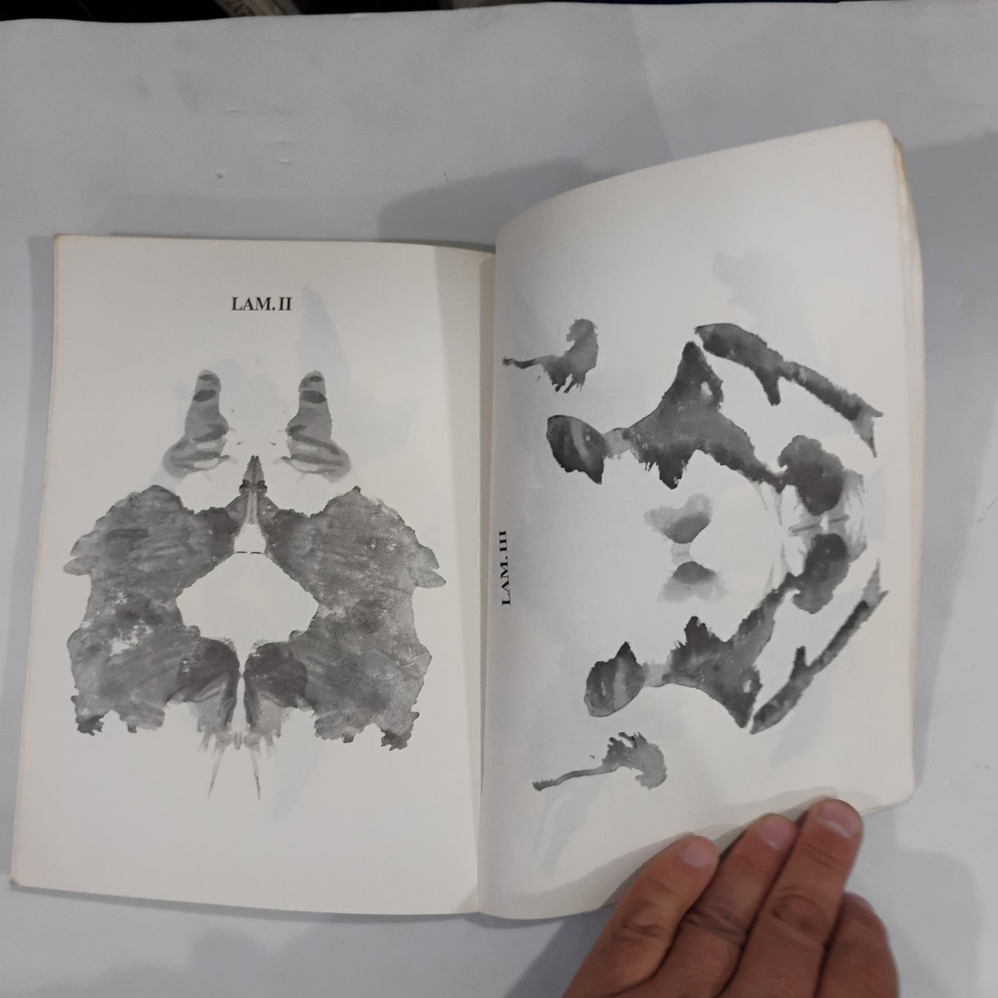 EL RORSCHACH y las ESTRUCTURAS NARCISISTAS - Cristina Weigle