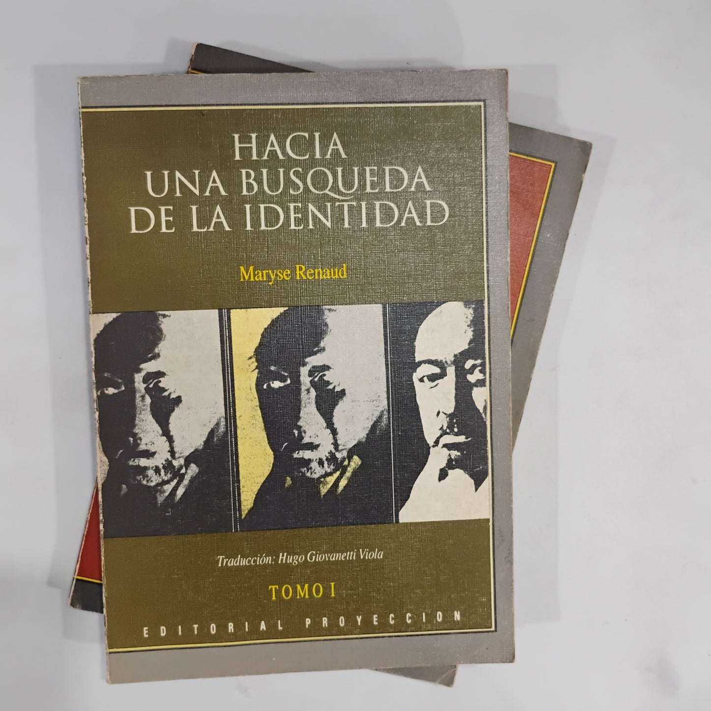 Hacia una búsqueda de la identidad (tomos I y II) - Maryse Renaud