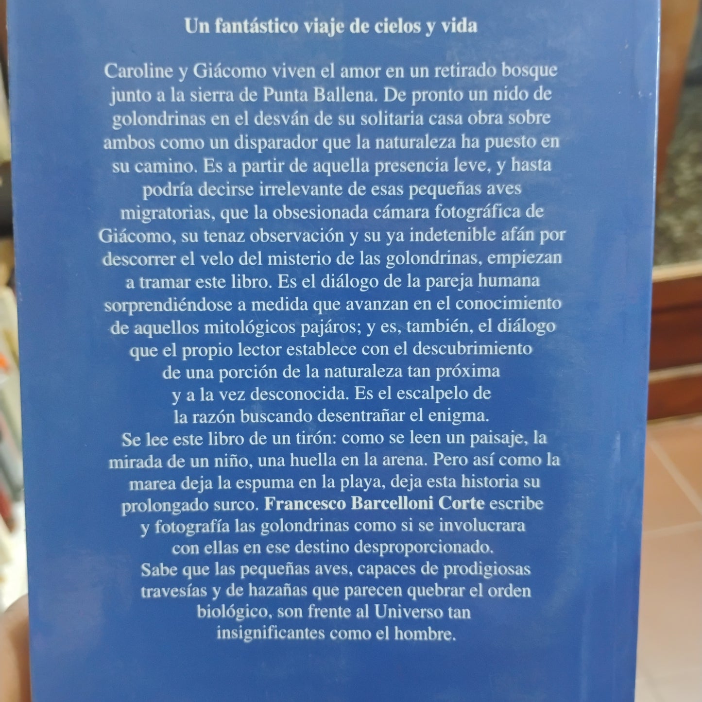 La alegría del vuelo de las golondrinas - Francesco Barcelloni Corte