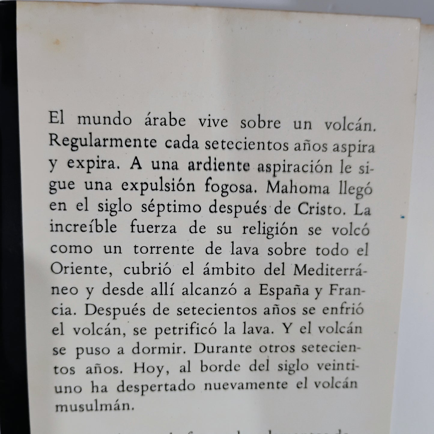 Los árabes, la epopeya del Islam - Rolf Palm
