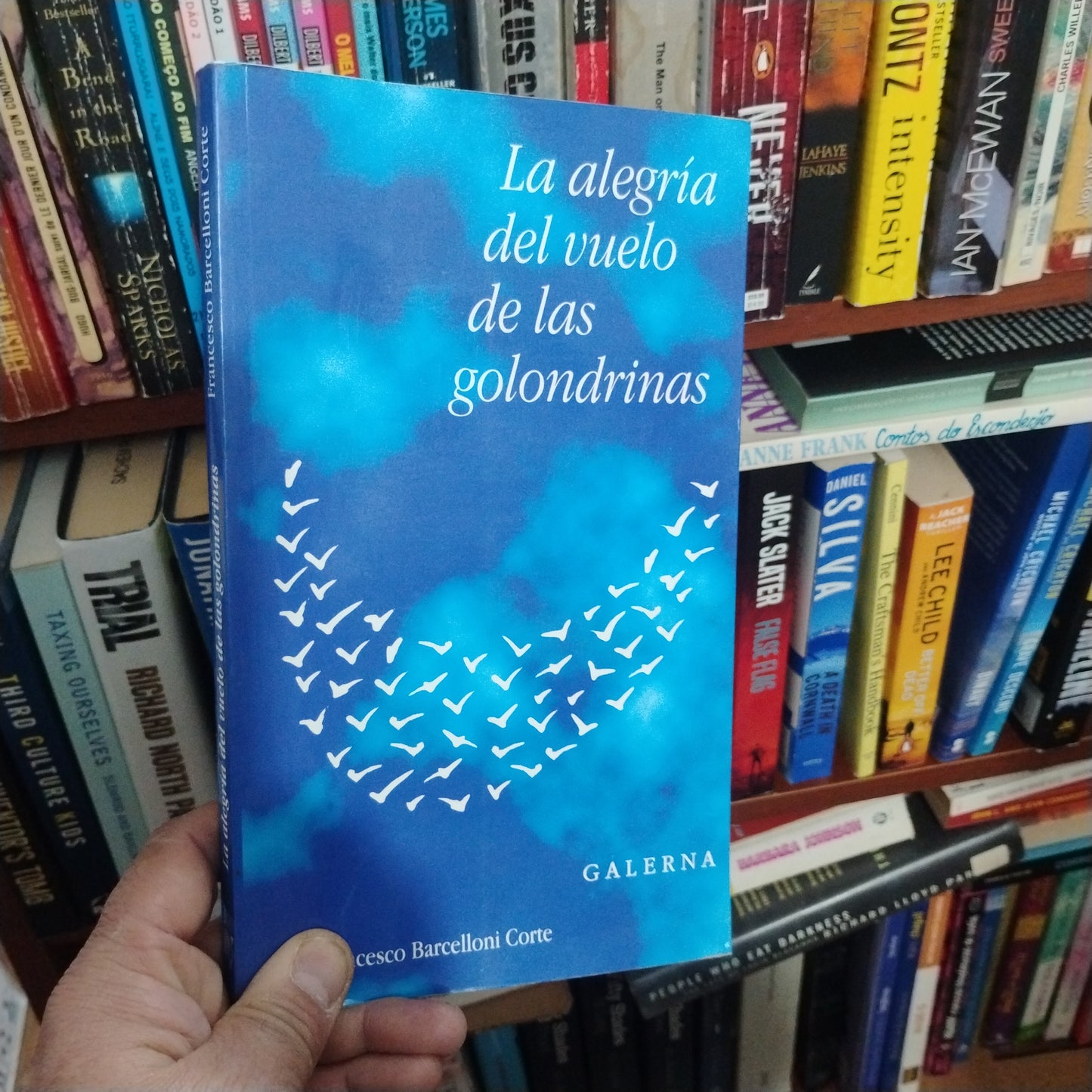 La alegría del vuelo de las golondrinas - Francesco Barcelloni Corte