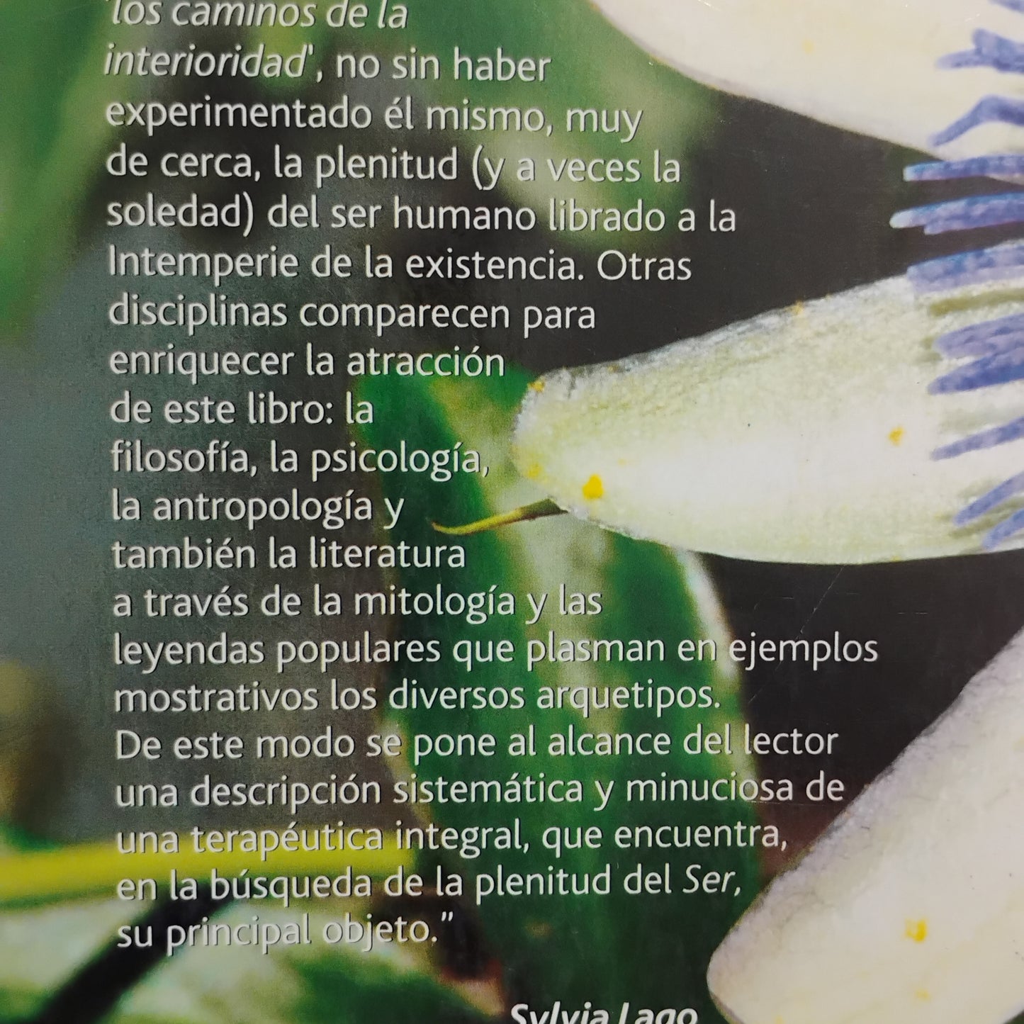 Una Medicina del Ser. Medicina Arquetípica de Flores y Hierbas del Uruguay - Bernardo Ferrando