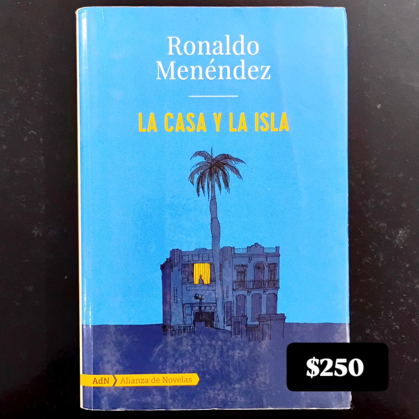 La casa y la isla - Ronaldo Menéndez
