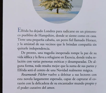 Solsticio de invierno - Rosemunde Pilcher