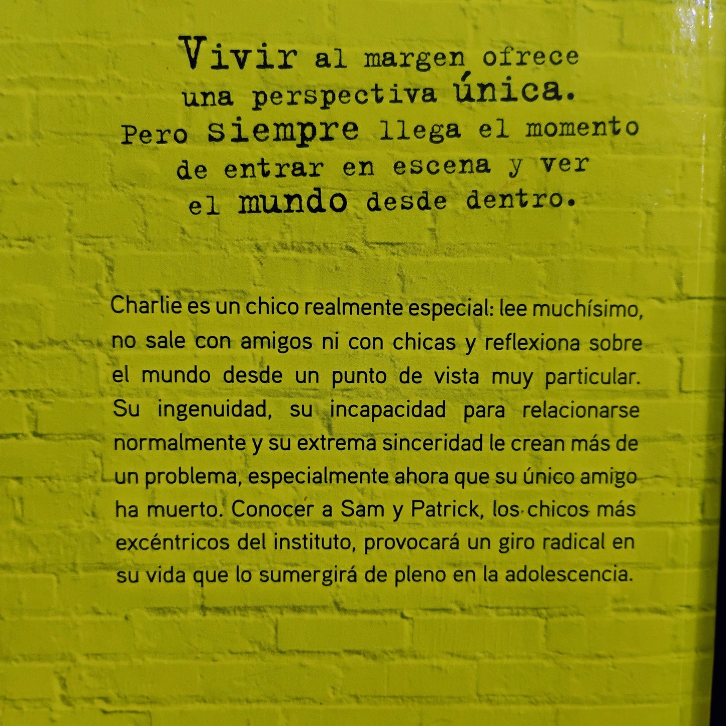 Las ventajas de ser invisible - Stephen Chbosky