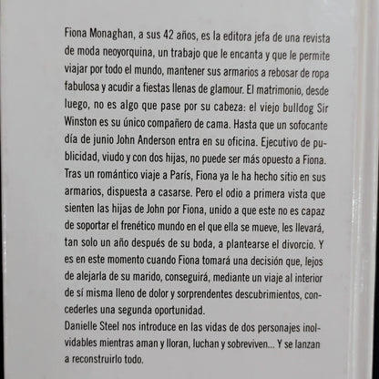 Empezar de nuevo - Daniel Steel