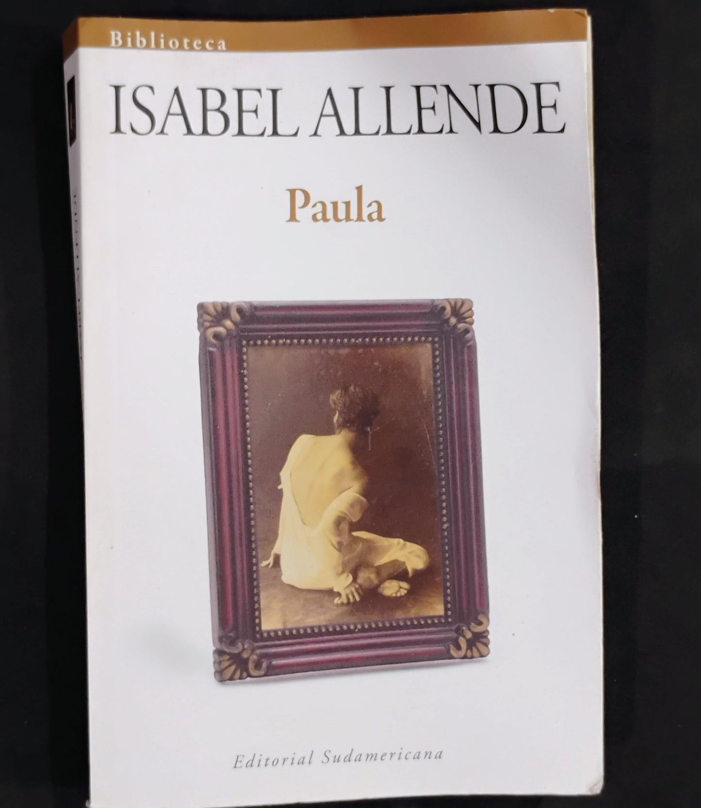 Paula - Isabel Allende