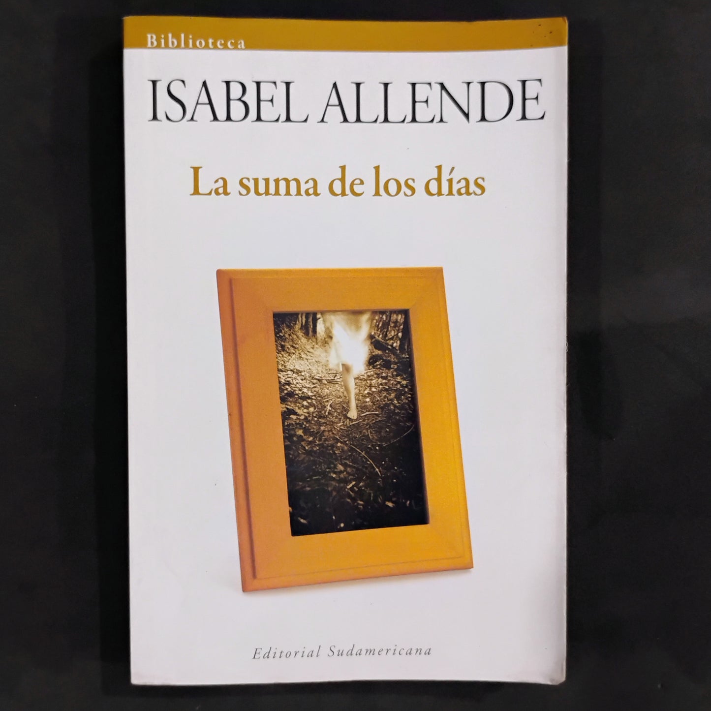 La suma de los días - Isabel Allende