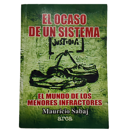 El ocaso de un sistema. El mundo de los menores infractores - Mauricio Sabaj