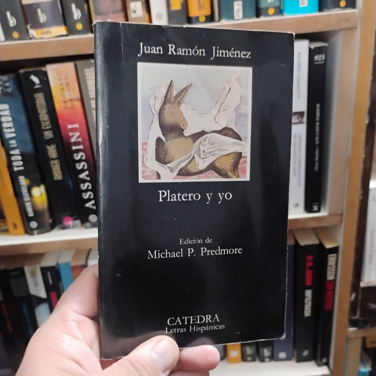 Platero y yo - Juan Ramón Jimenez
