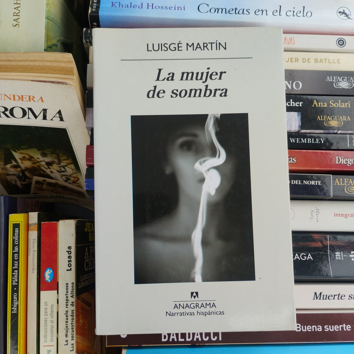 La mujer de la sombra - Luisgé Martín