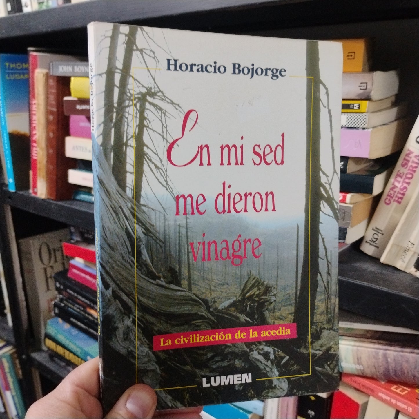 En mi sed me dieron vinagre. La civilización de la acedia - Horacio Bojorge