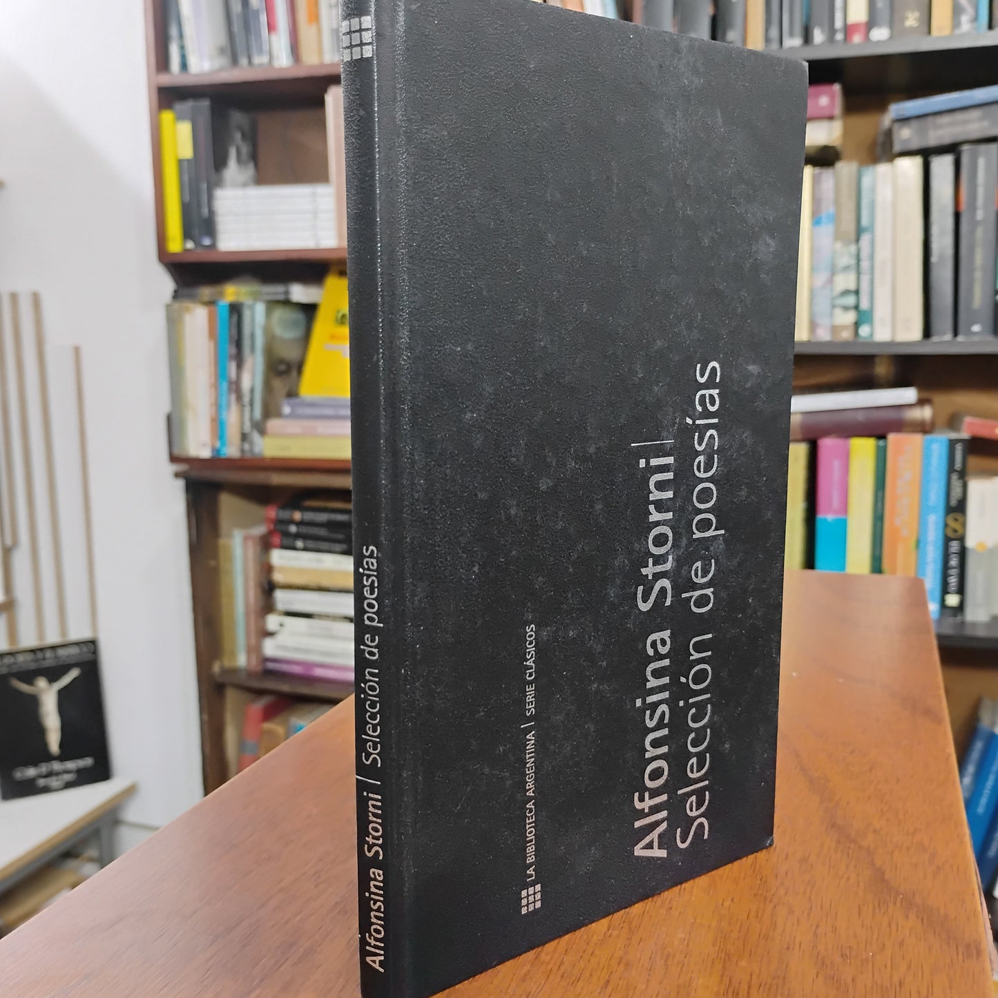 ALFONSINA STORNI - Selección de poesías.