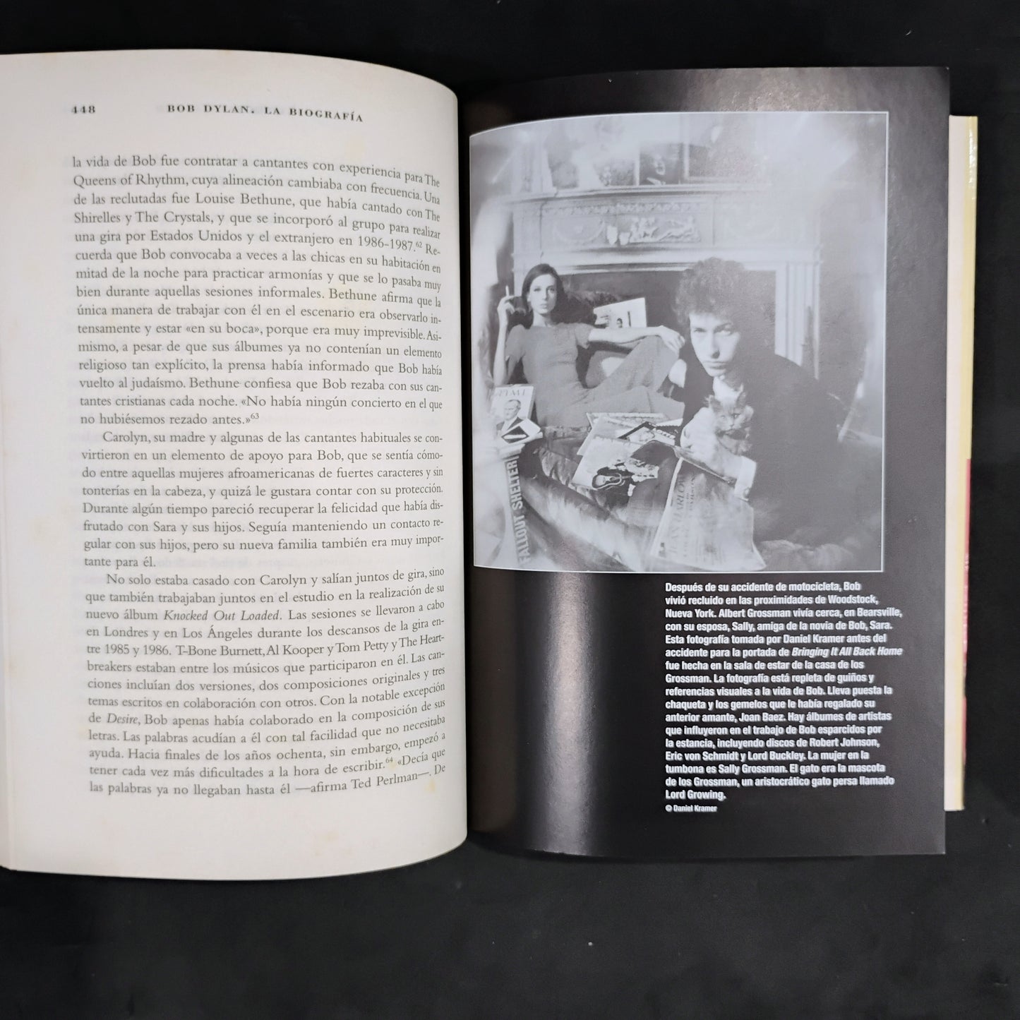 Bob Dylan. La Biografía. (edición ampliada) - Howard Sounes