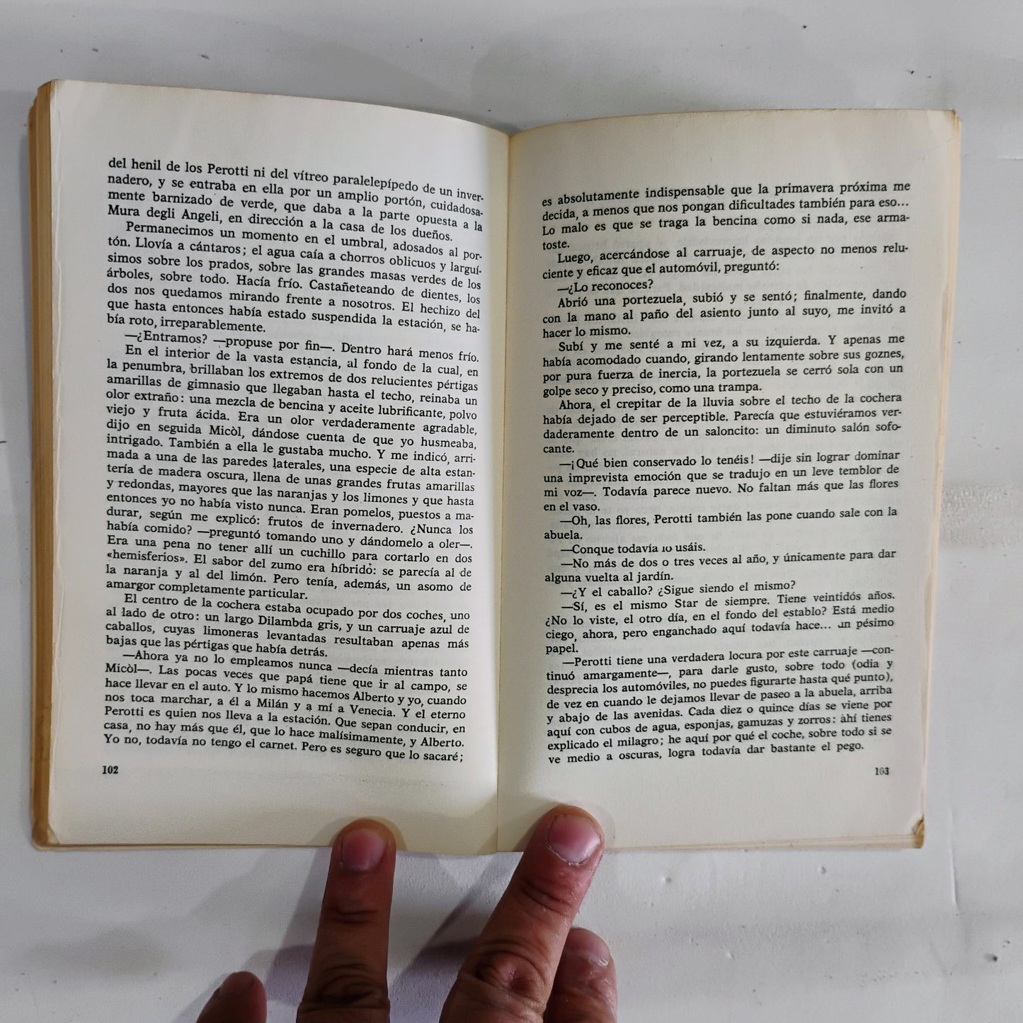 El jardín de los Finzi Contini - Giorgio Bassani