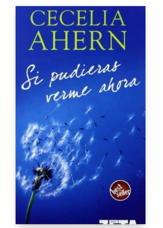 Si pudieras verme ahora - Cecelia Ahern