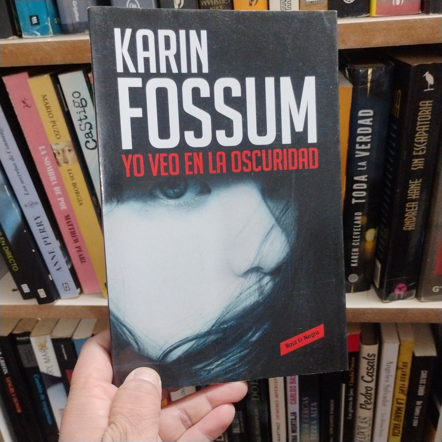 Yo veo en la oscuridad - Karin Fossum