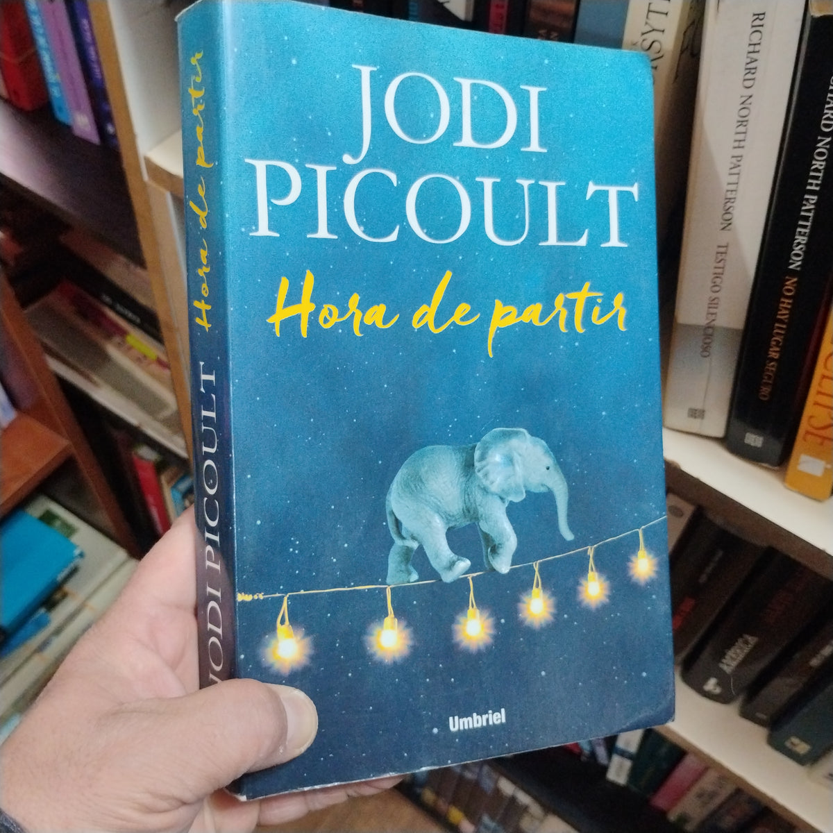 Hora de partir - Jodi Picoult