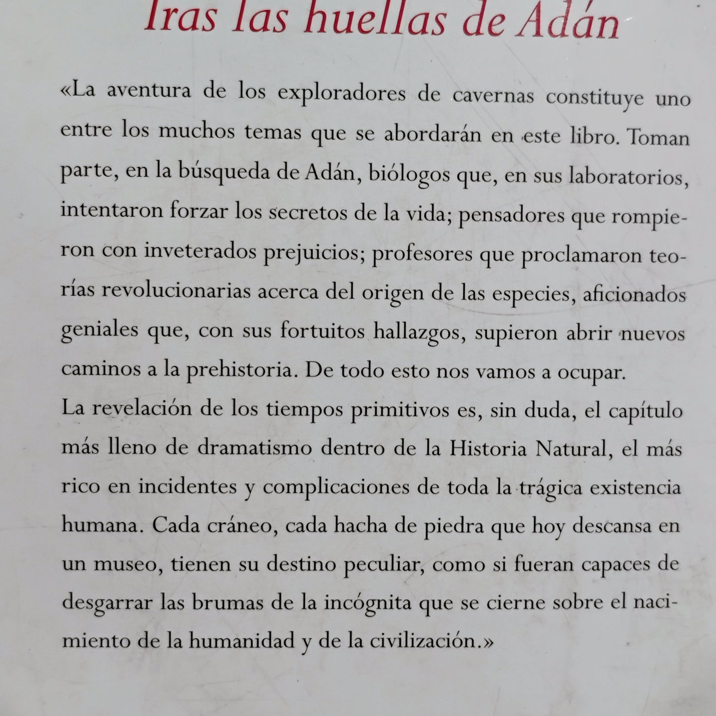 Tras las huellas de Adán - Herbert Wendt