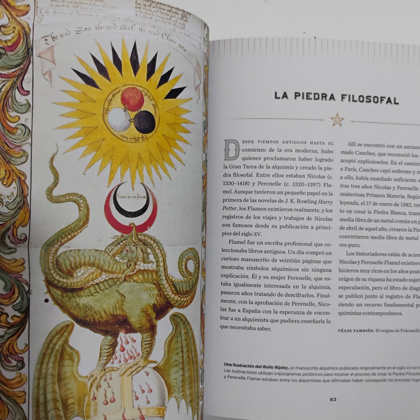 EL OCULTISMO. Un viaje cronológico desde la Alquimia hasta la Wicca - John Michael Greer