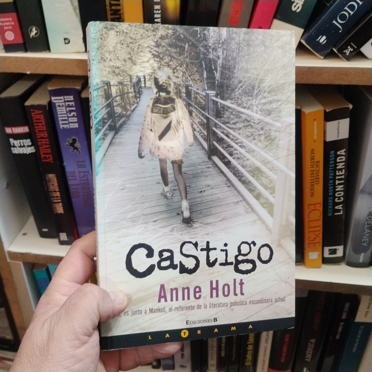 Castigo - Anne Holt