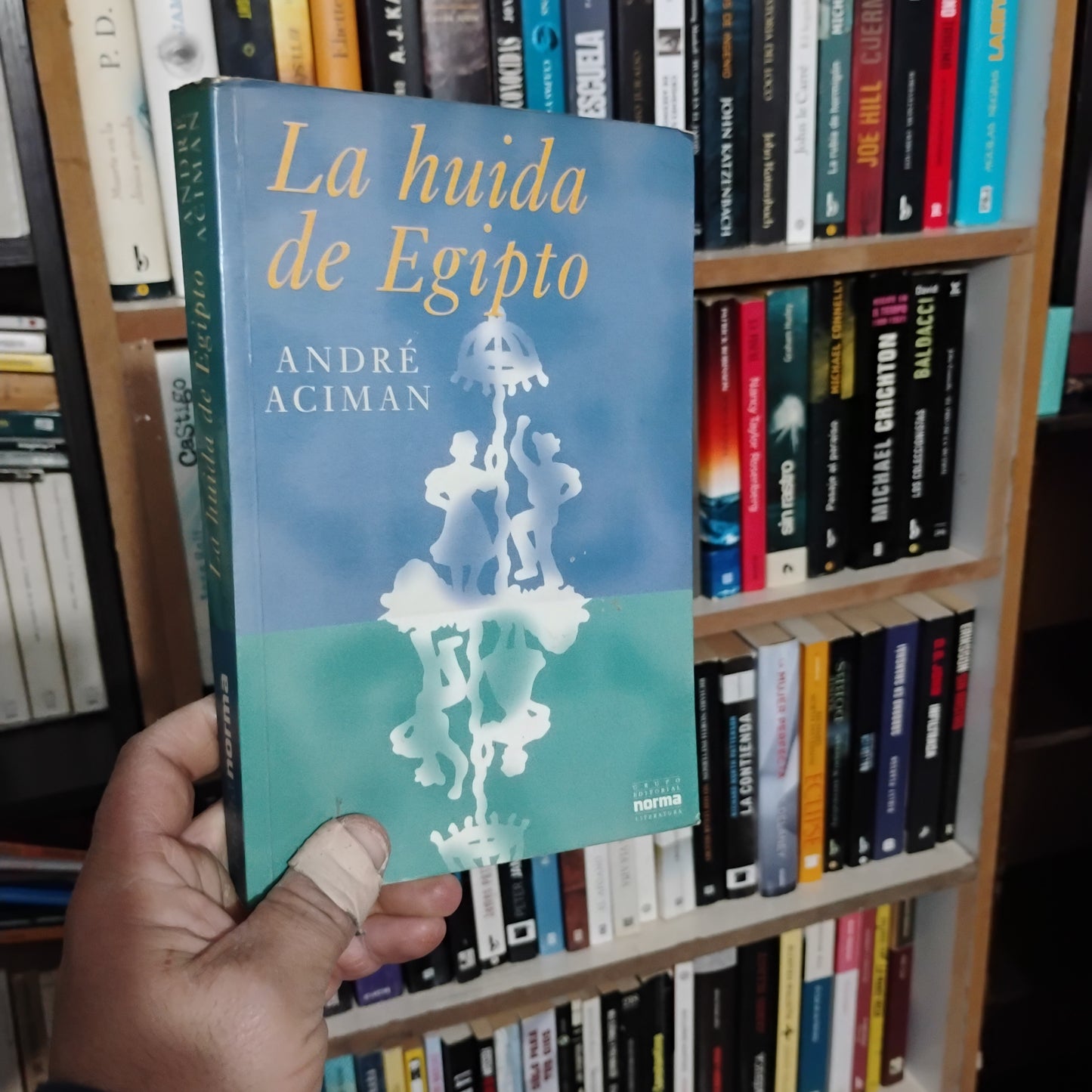 La huida de Egipto - André Aciman