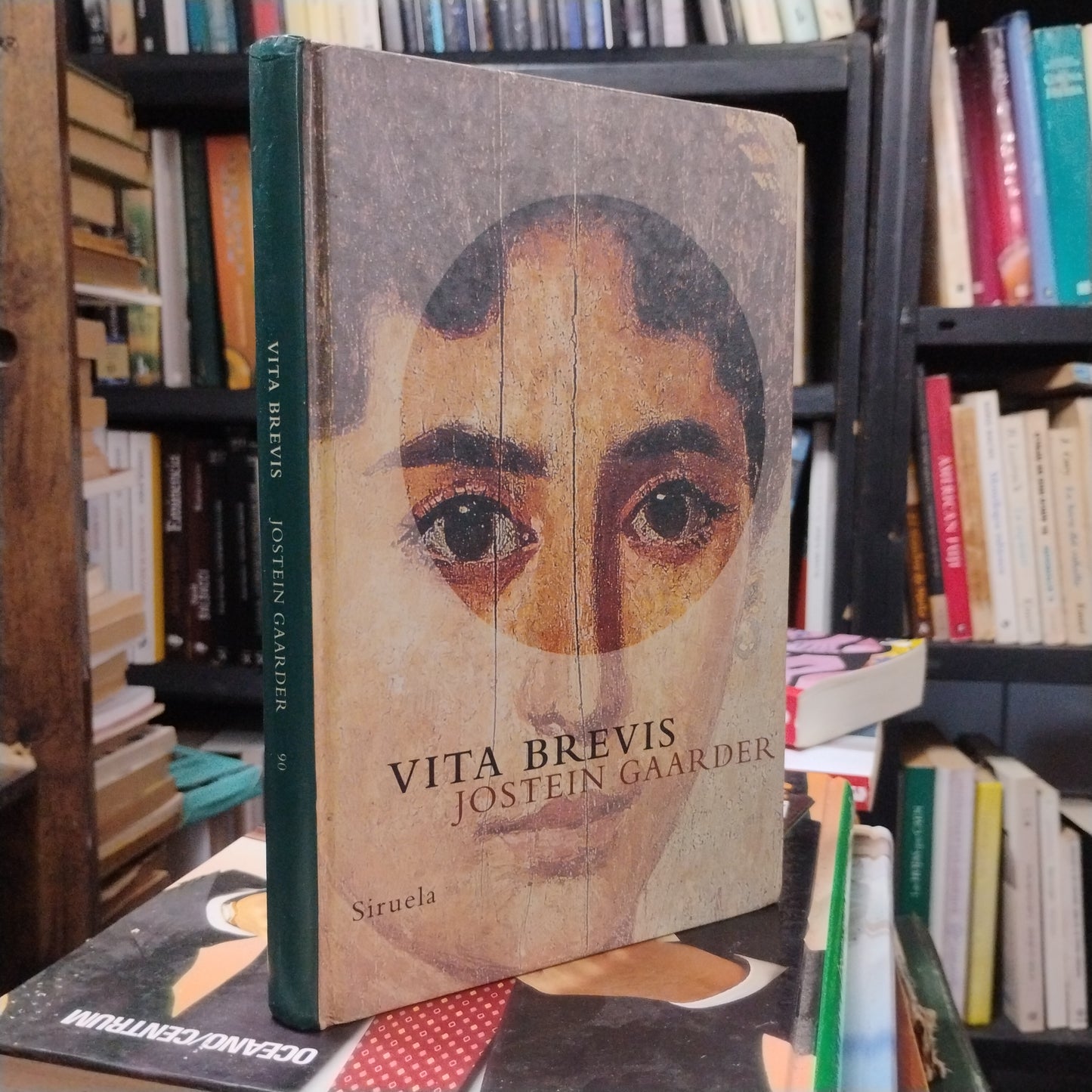 Vita Brevis - Jostein Gaarder