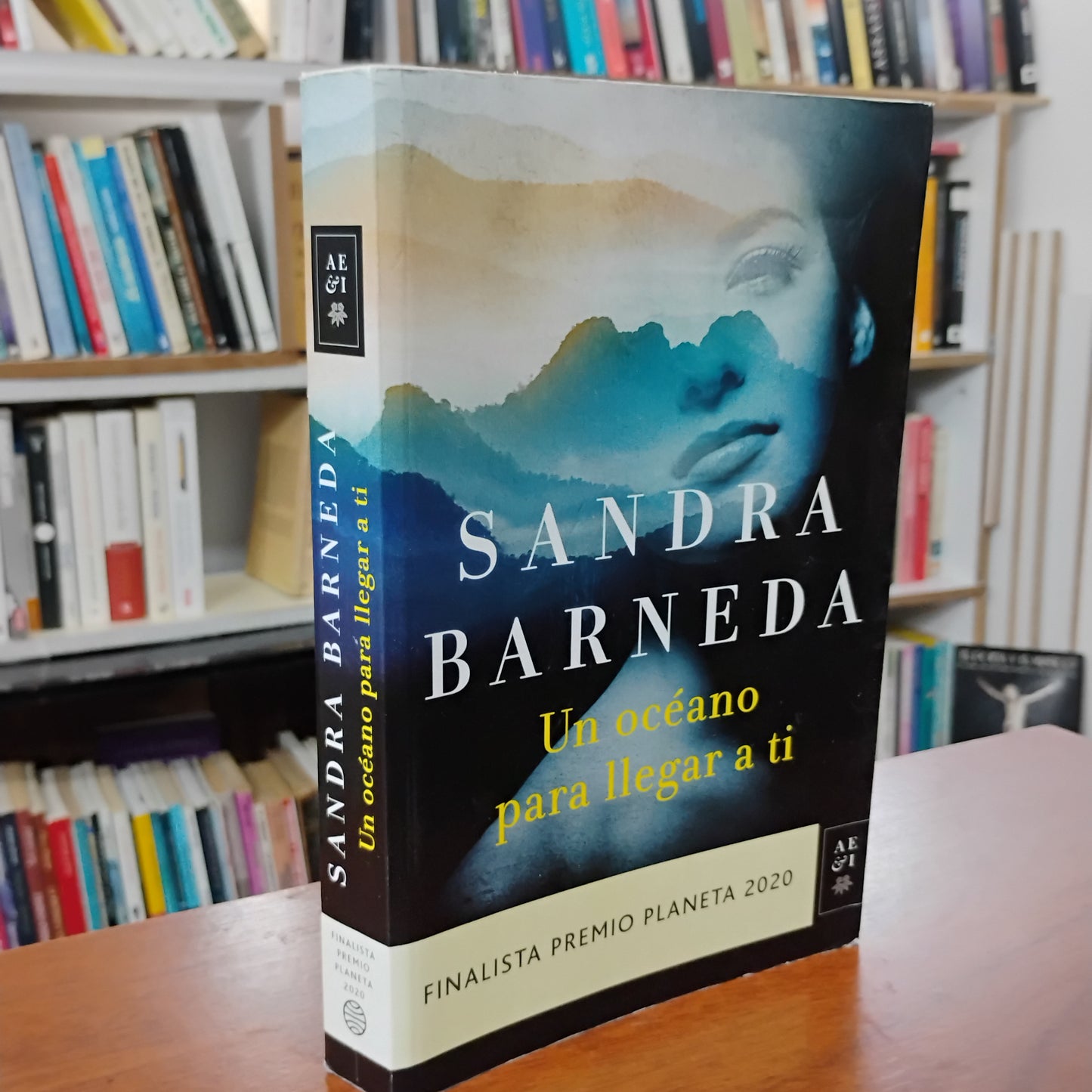 Un océano para llegar a tí - Sandra Barneda