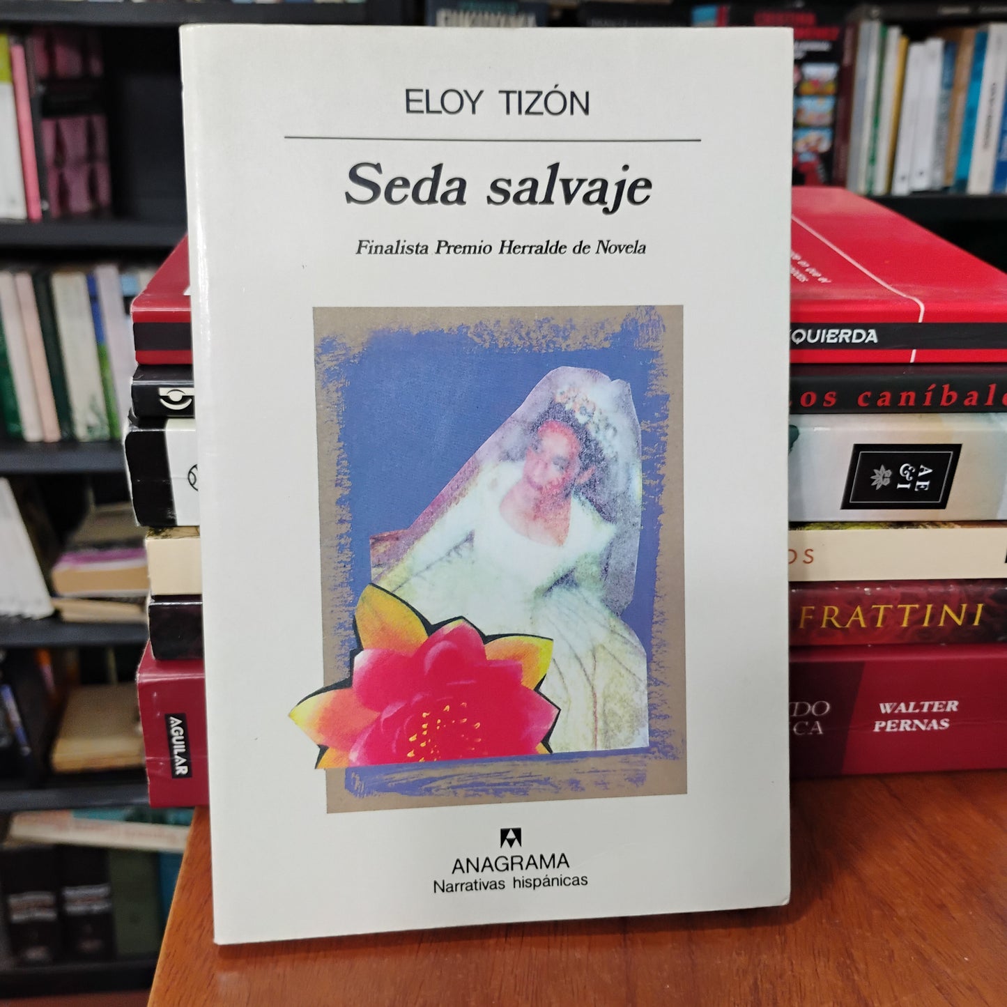 SEDA SALVAJE - Eloy Tizón