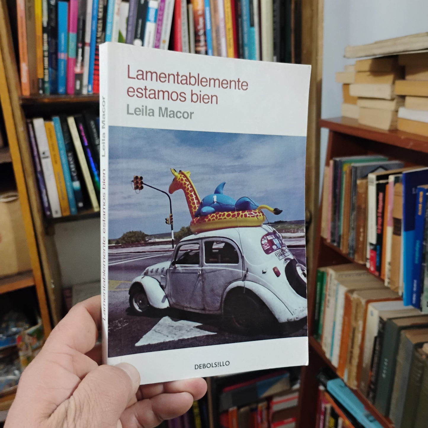 Lamentablemente estamos bien - Leila Macor