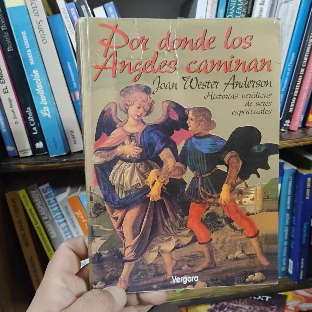 Por donde los ángeles caminan. Historias verídicas de seres espirituales - Joan Wester Anderson