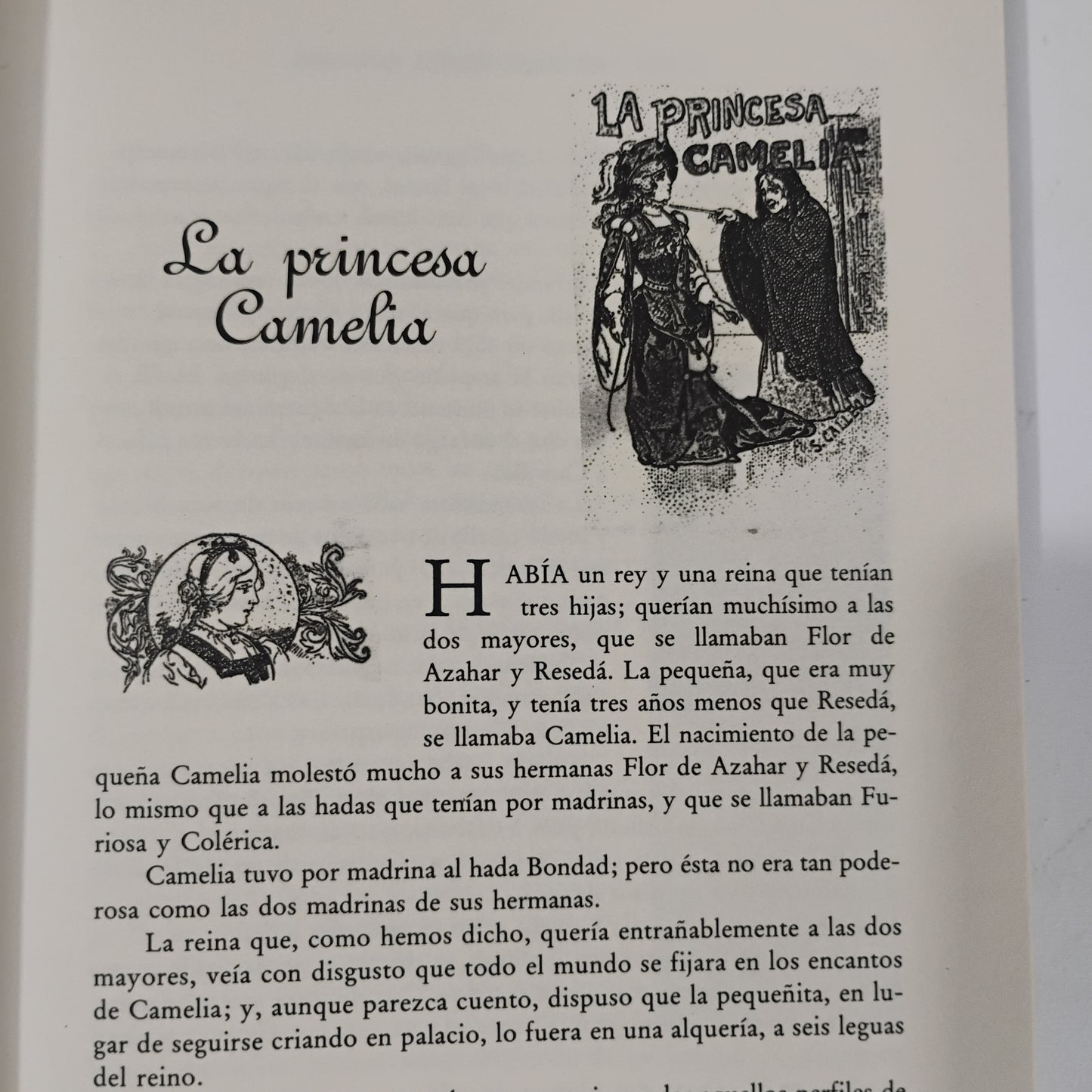 Hadas, princesas, brujas, curiosas, caprichosas, compasivas, madrastras, protectoras, guerreras, valientes... y otras heroínas de Callejas - Carmen Bravo Villasante (prólogo y selección)