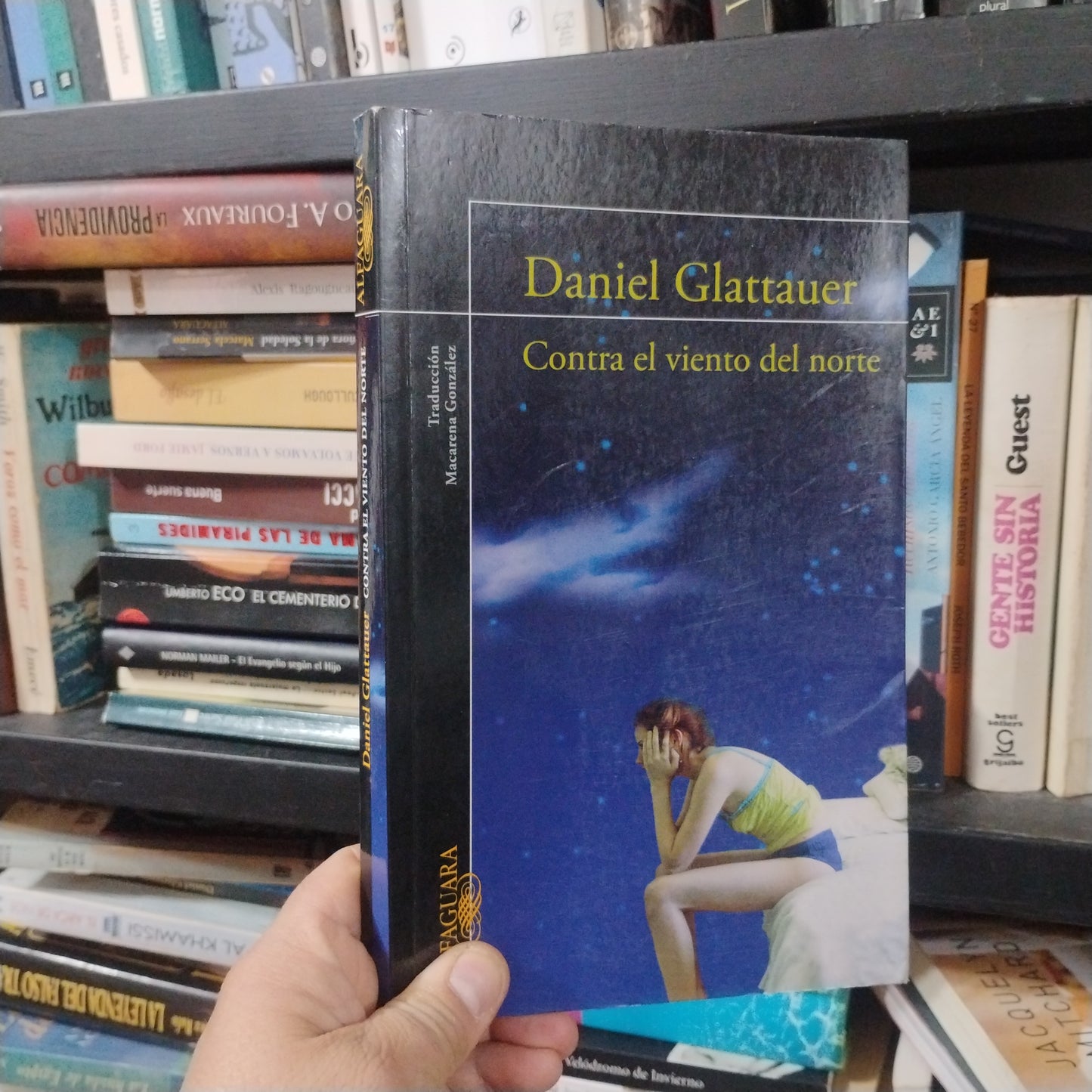 Contra el viento del norte - Daniel Glattauer