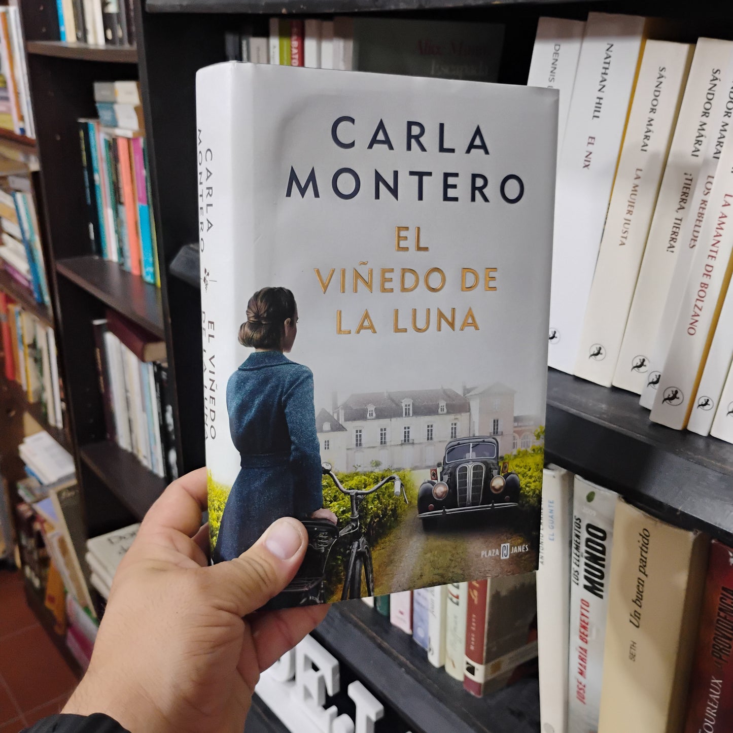 EL VIÑEDO DE LA LUNA - Carla Montero