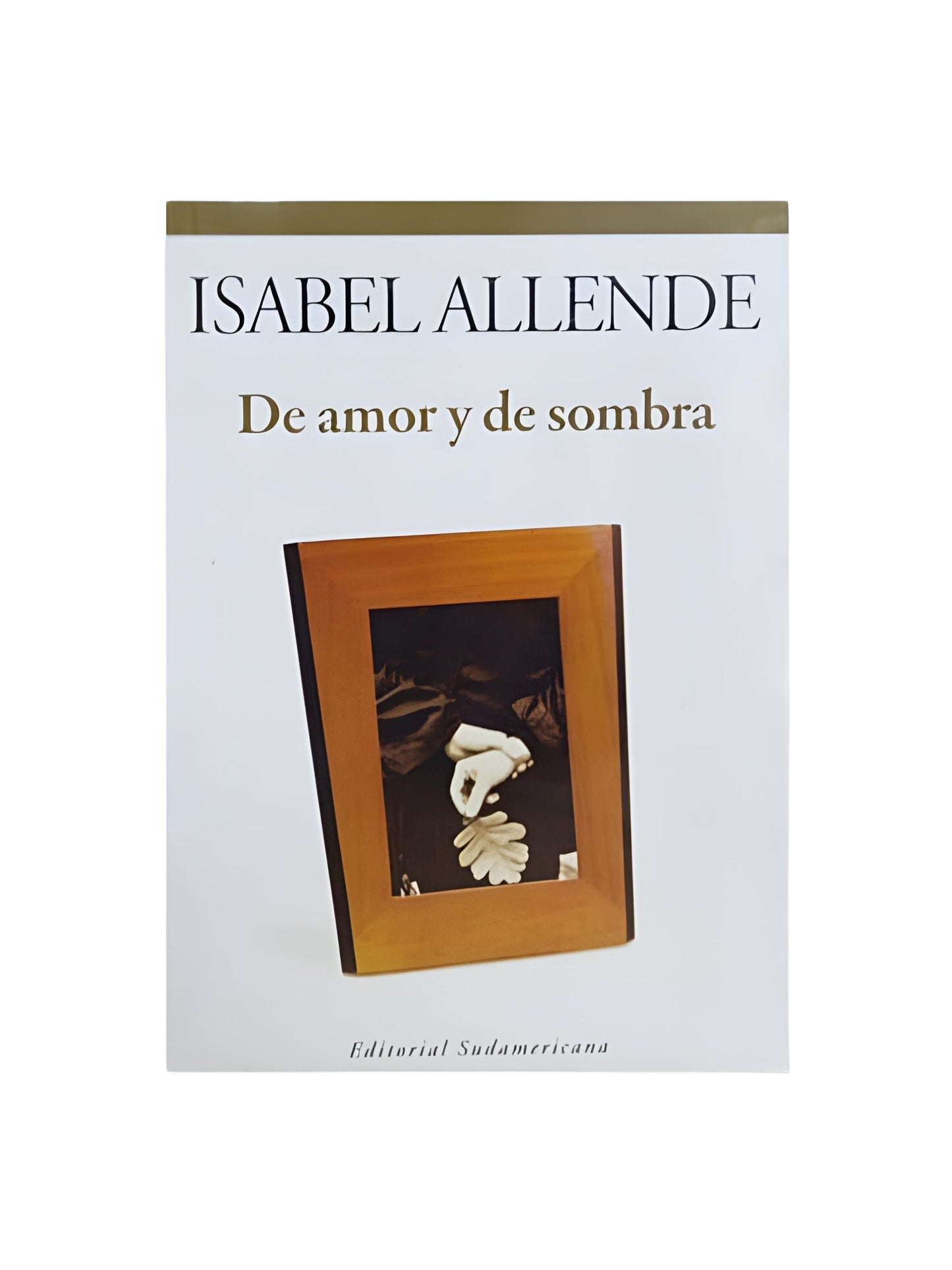 De amor y de sombra - Isabel Allende