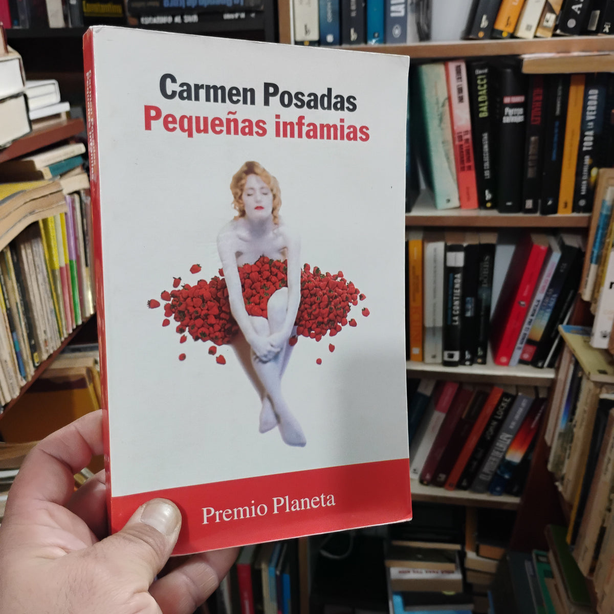 Pequeñas infamias - Carmen Posadas