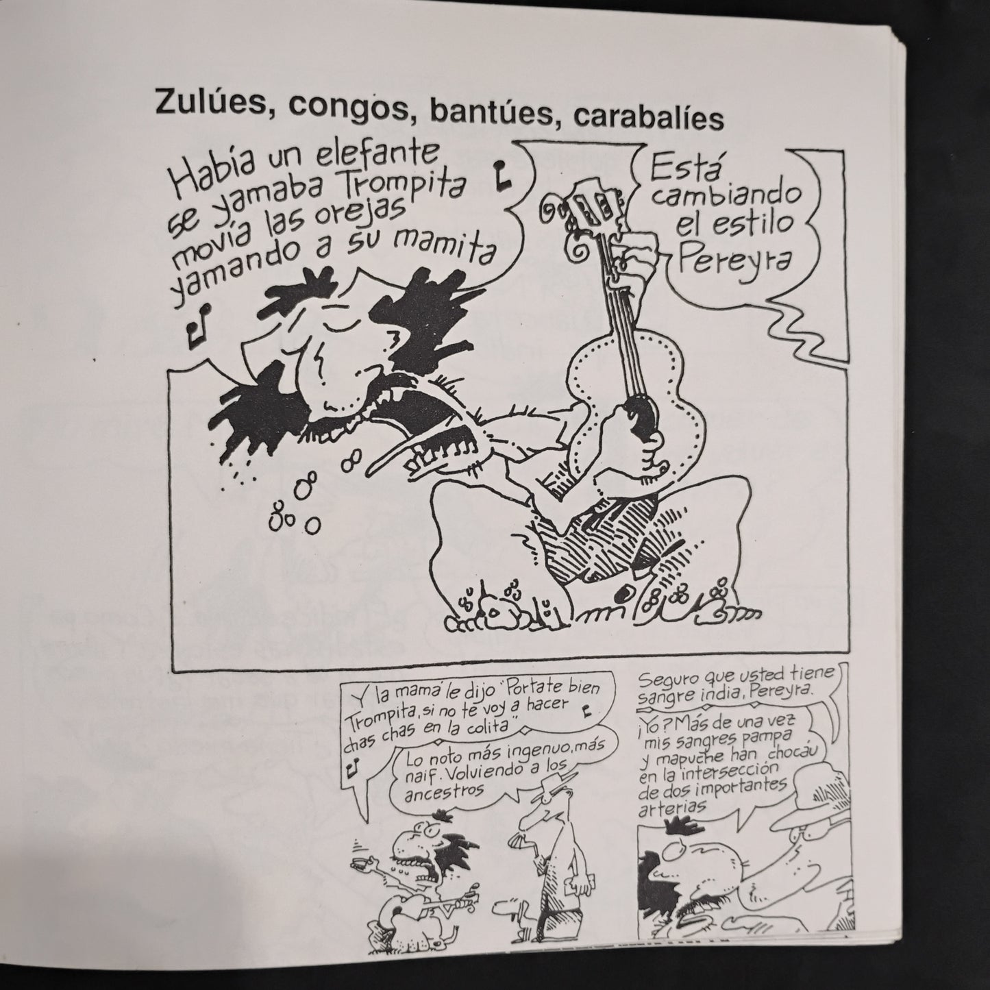 Inodoro Pereira (13)-Fontanarrosa
