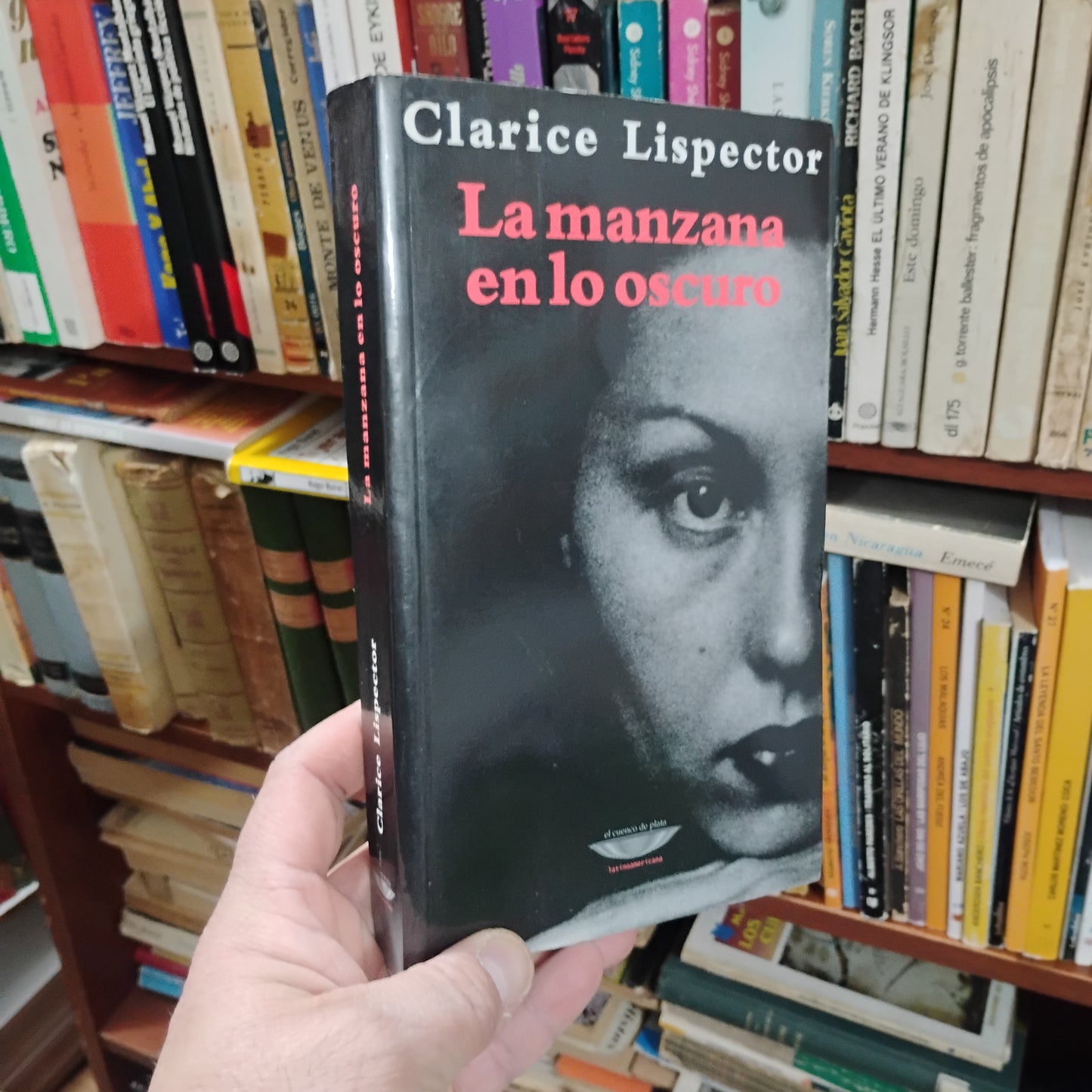 La manzana en lo oscuro - Clarice Lispector
