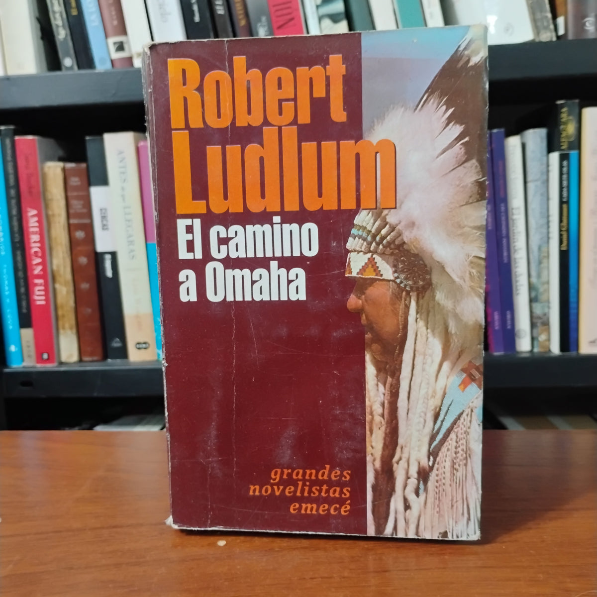 El camino a Omaha - Robert Ludlum