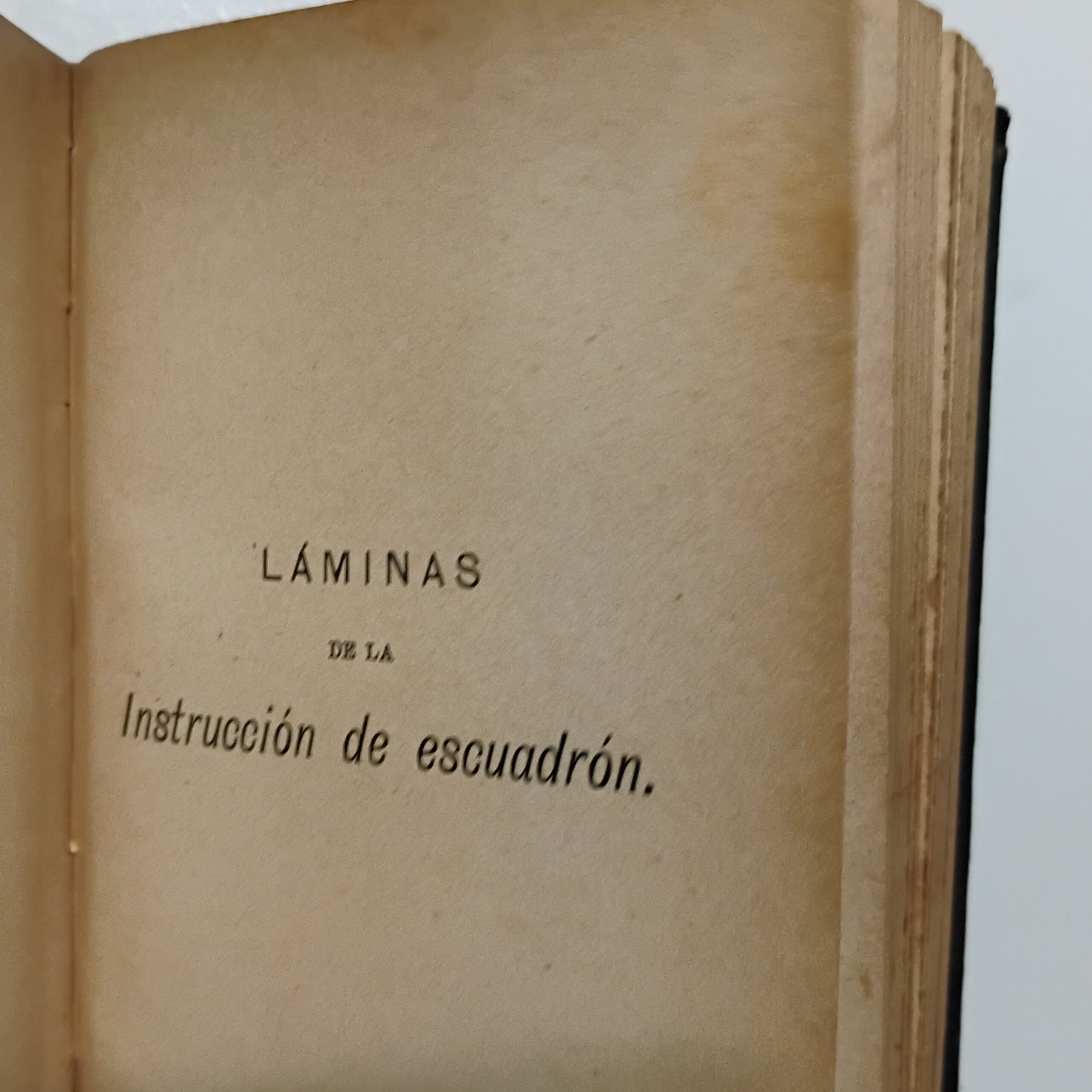 Prácticas de caballeria