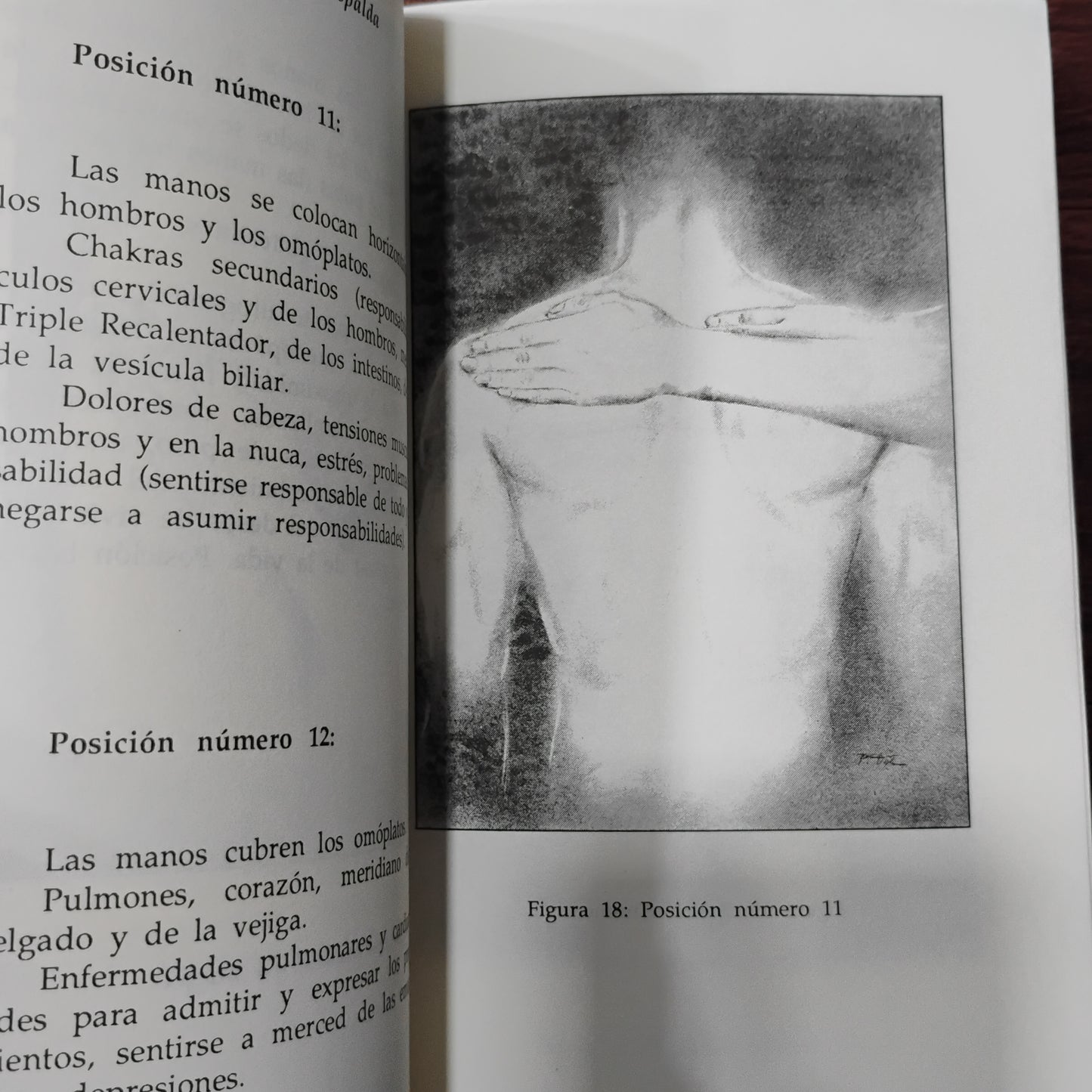 REIKI. Guía práctica para el sendero del amor curativo - Walter Lübeck