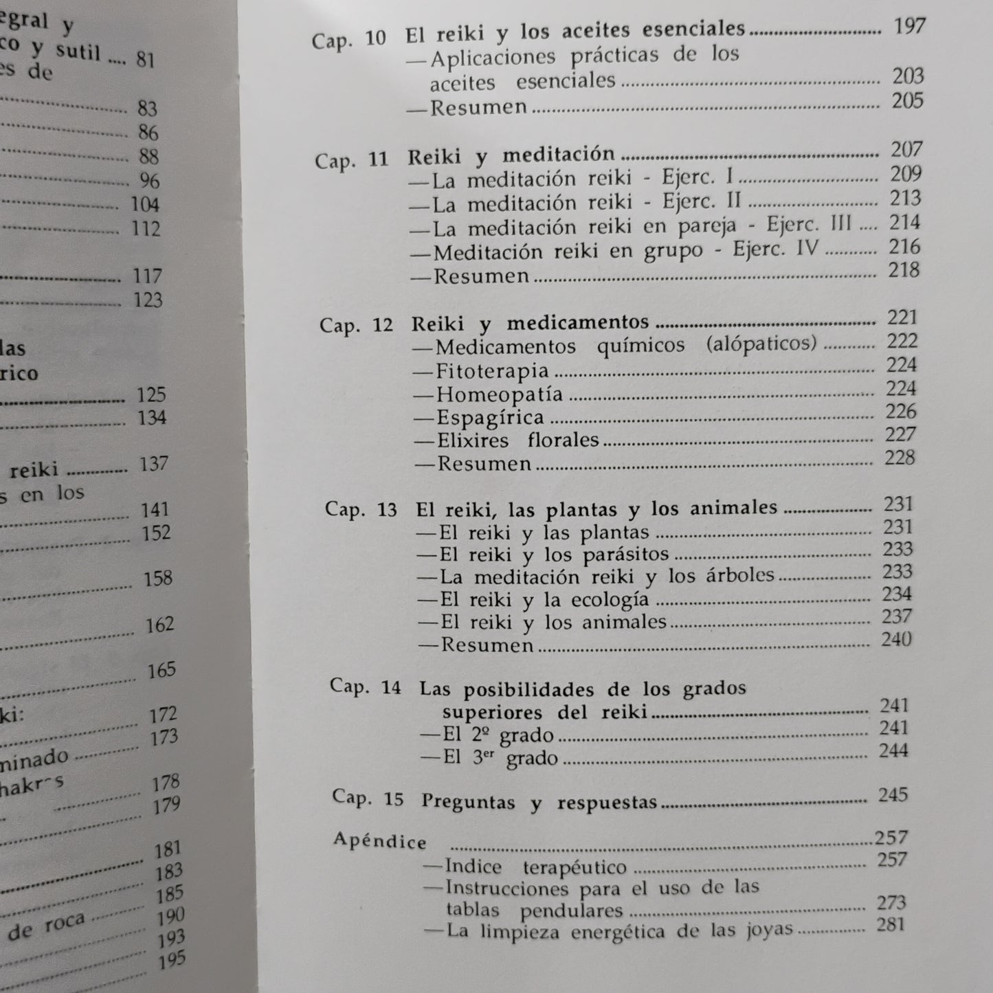 REIKI. Guía práctica para el sendero del amor curativo - Walter Lübeck