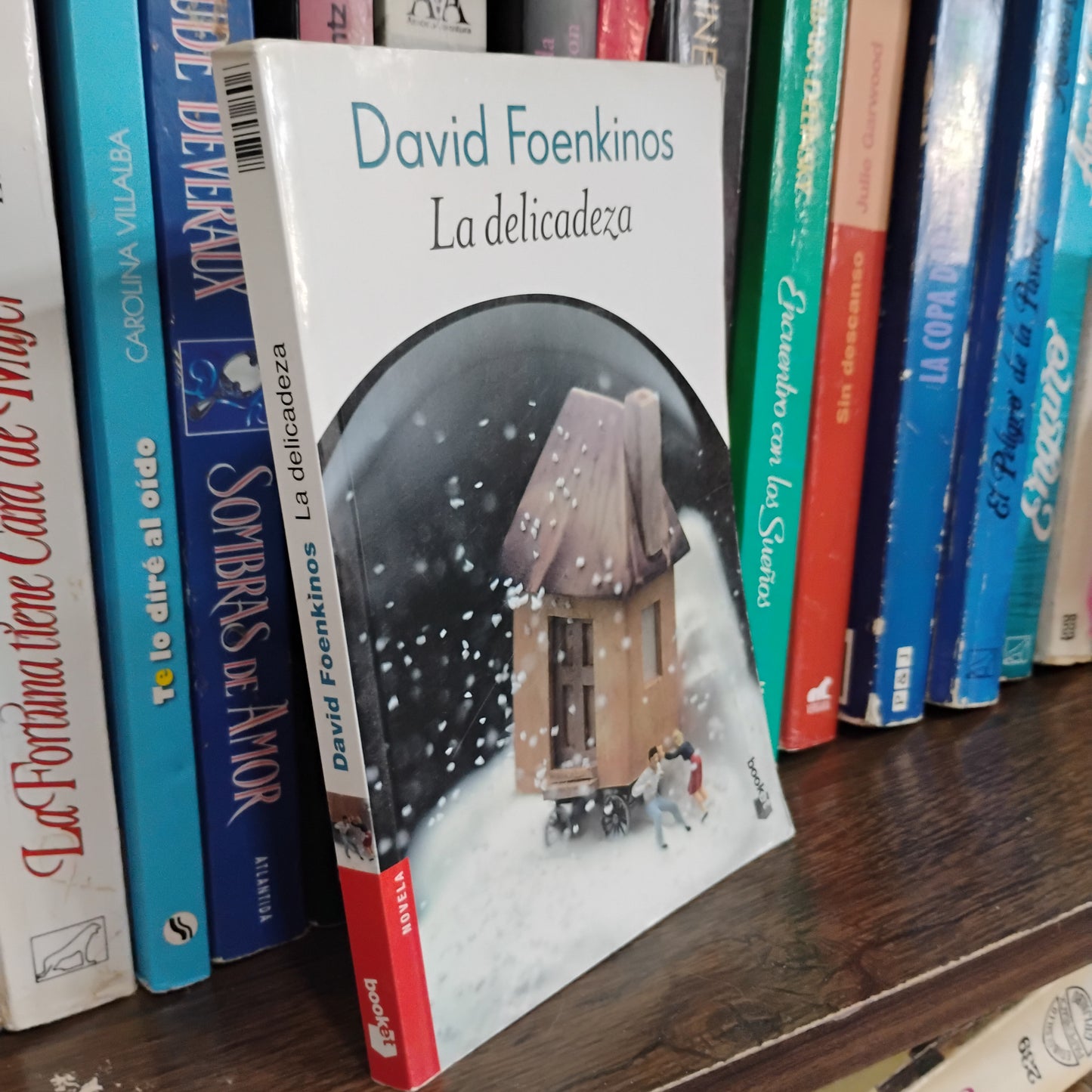 La delicadeza - David Foenkinos