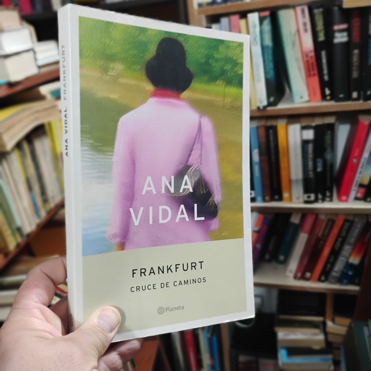 Frankfurt. Cruce de caminos - Ana Vidal