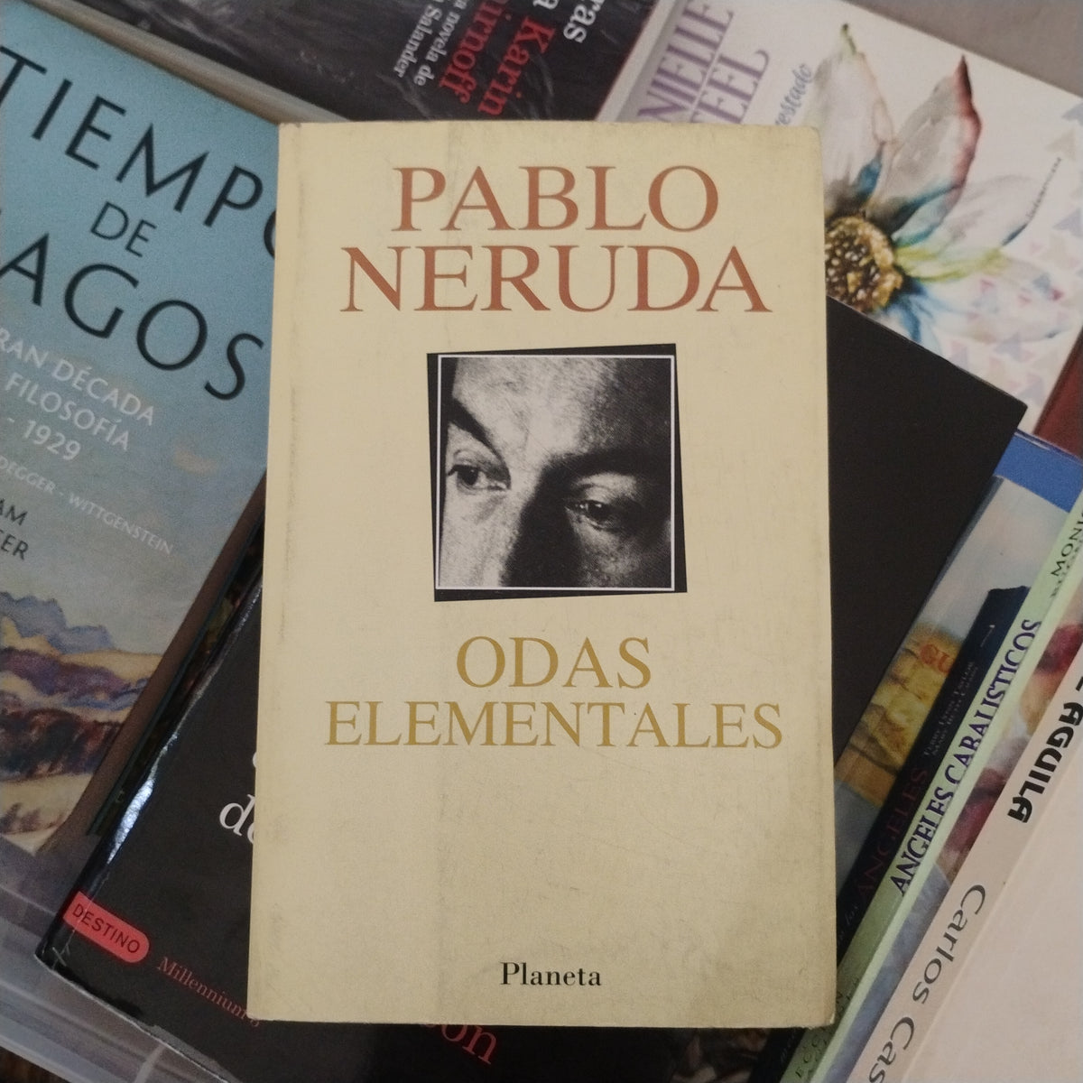 Odas elementales - Pablo Neruda